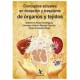 Conceptos actuales en donación trasplante de órganos y tejidos (Alfil)